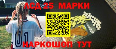 крисы Донской