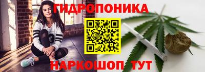 крисы Донской