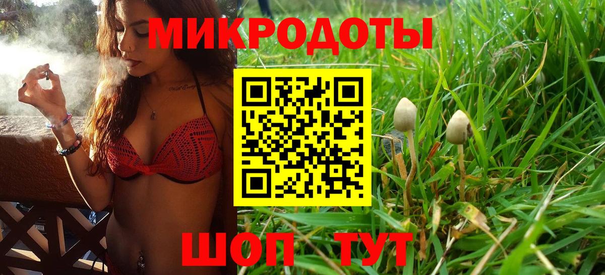 Галлюциногенные грибы GOLDEN TEACHER  Вход с VPN  продажа наркотиков  Мелеуз 