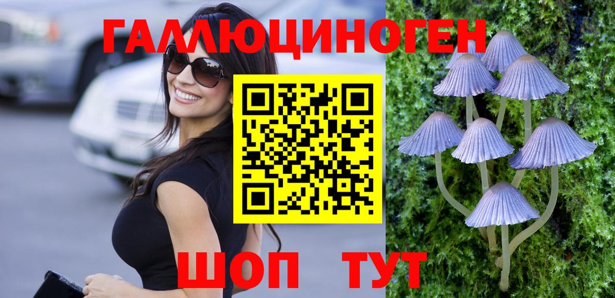 Псилоцибиновые грибы Psilocybine cubensis Мелеуз